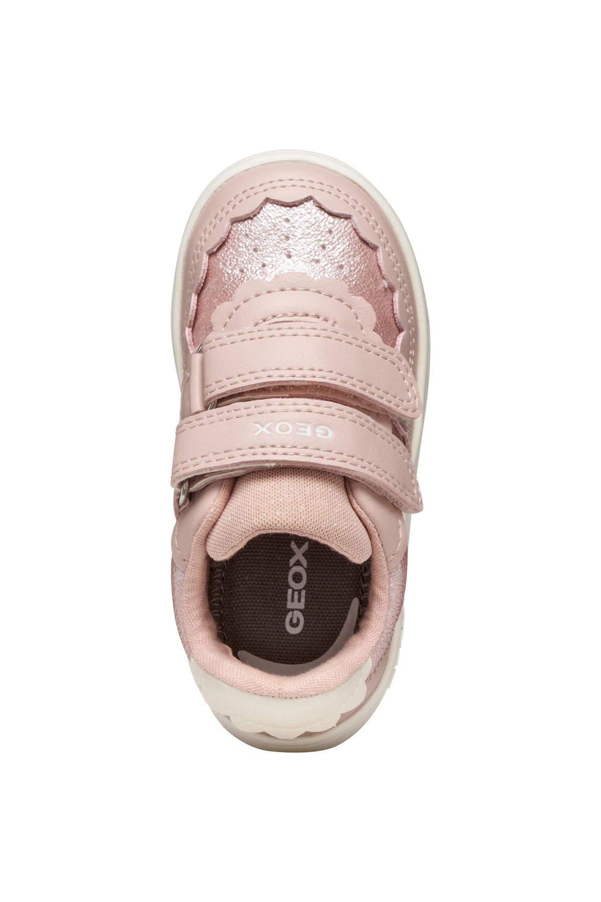 Geox Eclyer Trainer B555MA