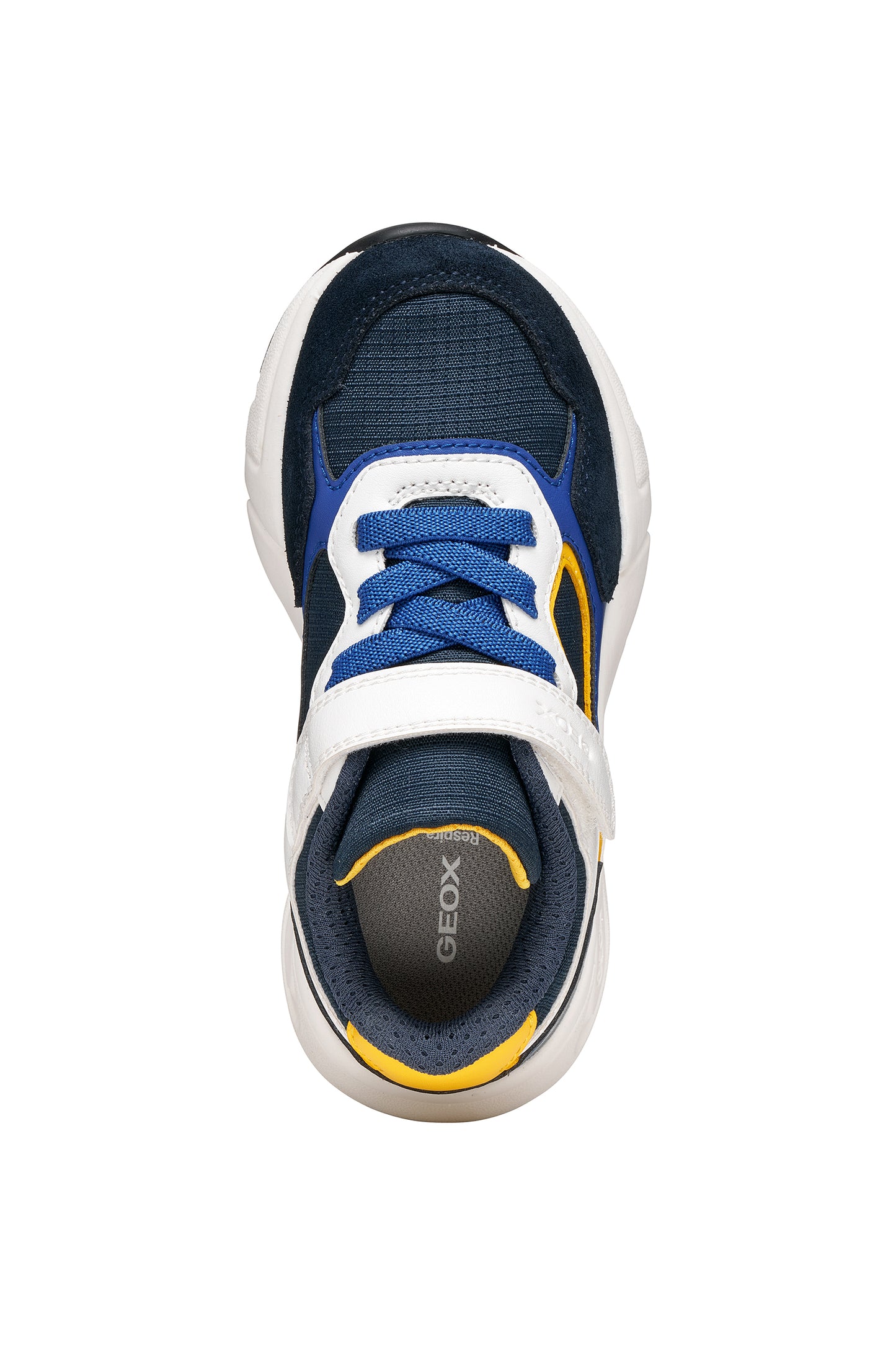 Geox Loftus trainer J66MQA